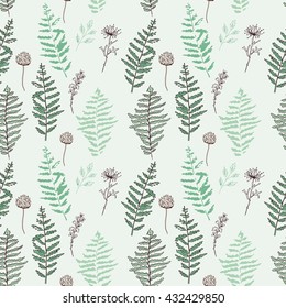 Fern seamless pattern. Botanical illustration with fern leaves on white background. Design elements. Vector