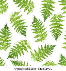 Fern seamless pattern. Vector illustration