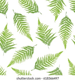 Fern seamless pattern. Vector illustration