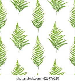Fern seamless pattern. Vector illustration