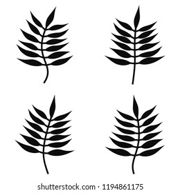 Fern Silhouette Collection. Vector Illustration Isolated On White Background.