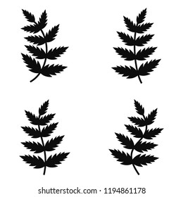 Fern Silhouette Collection. Vector Illustration Isolated On White Background.