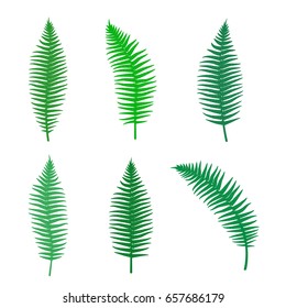 Fern silhouette set of different branches