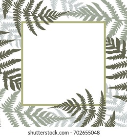 Fern Square white frame vector illustration. Green tropical forest plant leaves decoration background. Ferns drawing, tropical forest herbs, fern frond grass round border.