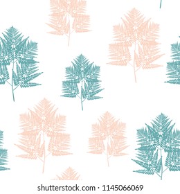 Fern tropical leaves seamless pattern . Bush plant leaves decoration on white background. Green jade bracken and new Zealand fern tropical forest herbs, fern frond grass wallpaper.