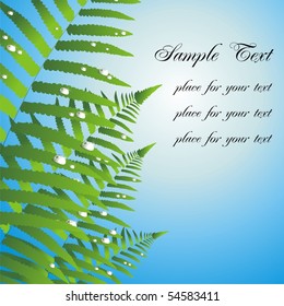 Fern. Vector background