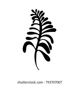 Fern vector design element silhouette isolated on white background