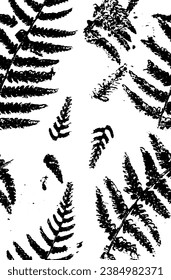 Fern. Vector hand drawn sketch illustration. Sloppy doodle grunge style