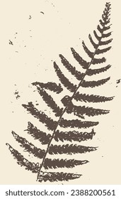 Fern. Vector hand drawn sketch illustration. Sloppy doodle grunge style