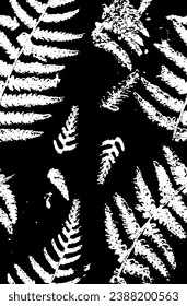 Fern. Vector hand drawn sketch illustration. Sloppy doodle grunge style
