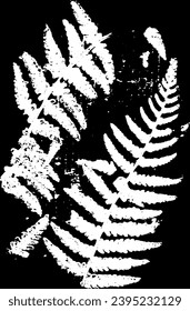 Fern. Ilustración de esbozo dibujada a mano por vectores. Estilo de trituración de doodle