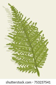 fern vector illustrtion on biege background