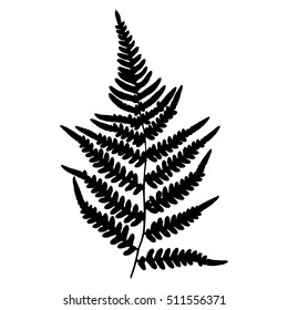 Fern16. Silhouette sheet fern on white background. Vector. EPS 10.