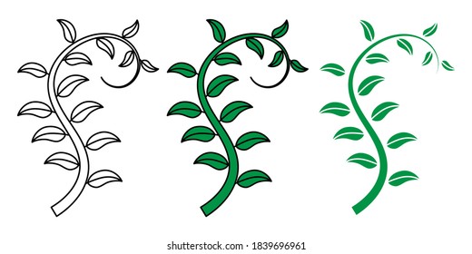 ferns hand drawn design vector