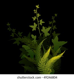 ferns and ivy on dark background