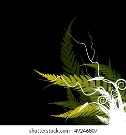 ferns on dark background with white floral swirl in the front