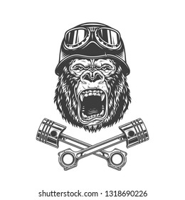 Ferocious gorilla head in biker helmet with crossed motorcycle pistons in vintage style isolated vector illustration