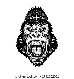 Ferocious gorilla head. Vector illustration on white background.