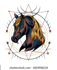 ferocious horse illustration with sacred geometry background.