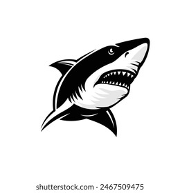 ferocious shark with fangs and open mouth vector illustration, black and white color