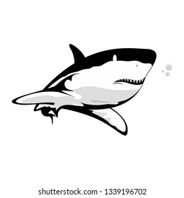 ferocious shark in the sea