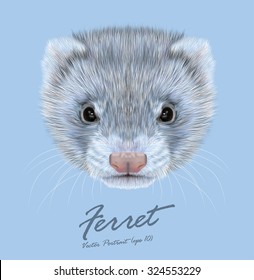 Ferret animal cute face. Vector funny silver polecat head portrait. Realistic fur portrait of gray ferret creature isolated on blue background.