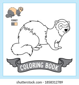 Ferret Animals Coloring Pages Book Worksheet