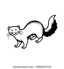 Ferret, Cute ferret, Black and white ferret, Ferret vector illustration