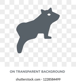 Ferret icon. Trendy flat vector Ferret icon on transparent background from animals  collection. 