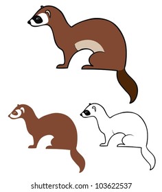 Ferret illustration - vector