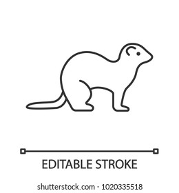 Ferret linear icon. Thin line illustration. Polecat. Contour symbol. Vector isolated outline drawing. Editable stroke