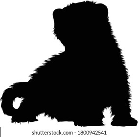 Ferret  (Mustela Putorius Furo) Silhouette Found In Map Of Europe