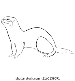 Ferret One Line Drawing On White Stock Vector (Royalty Free) 2160139091 ...