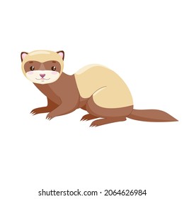 Ferret, polecat, fitch, foumart. Domestic marten. Cartoon cute animal. Stock vector illustration on a white background.