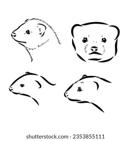 Ferret side view, hand drawn doodle, drawing sketch in gravure style, vector illustration