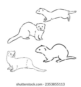 Ferret side view, hand drawn doodle, drawing sketch in gravure style, vector illustration