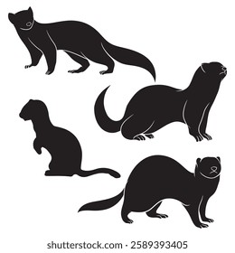 Ferret Silhouette, Ferret illustration, Ferret icon Silhouette, Ferret Silhouette illustration