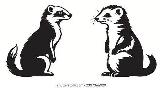 Ferret silhouettes and icons. Black flat color simple elegant white background Ferret animal vector and illustration.