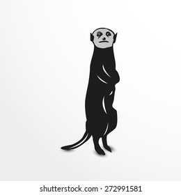 Ferret. Vector illustration. Animal collection.