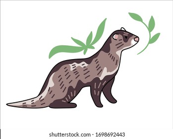 Ferret vector illustration. Hand drawn cute Mustela putorius furo with leaves.