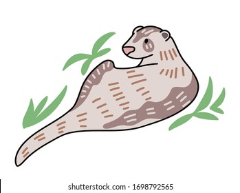 Ferret vector illustration. Hand drawn cute Mustela putorius furo with leaves.