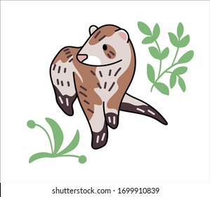 Ferret vector illustration. Hand drawn cute Mustela putorius furo with leaves.