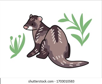 Ferret vector illustration. Hand drawn cute Mustela putorius furo with leaves.