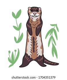 Ferret vector illustration. Hand drawn cute Mustela putorius furo with leaves.