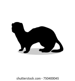 Ferret weasel ermine mammal black silhouette animal. Vector Illustrator.	