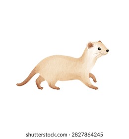 Ferret with white and brown fur