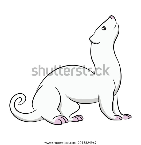 Ferrets Animal Cartoon Character Design Stock Vector (Royalty Free ...