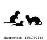 Ferrets family. Silhouettes of animals. Vector illustrator