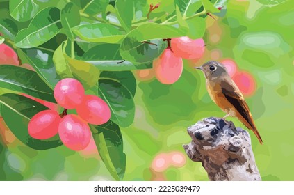 Ferruginous flycatcher perched on a branch under Bengal Currants tree.