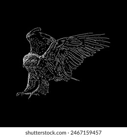 ferruginous hawk hand drawing vector isolated on black background.